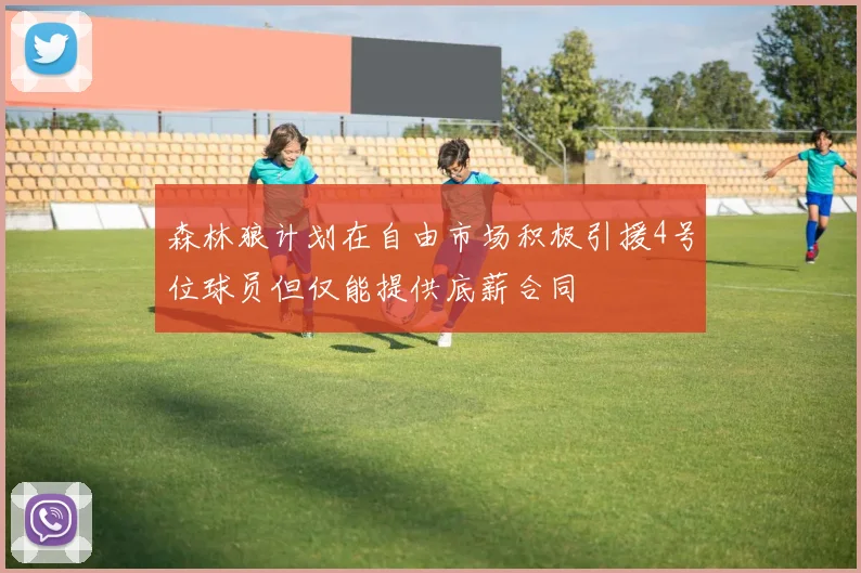 森林狼计划在自由市场积极引援4号位球员但仅能提供底薪合同