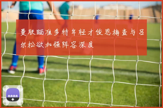 曼联瞄准多特年轻才俊恩梅查与吕尔松欲加强阵容深度